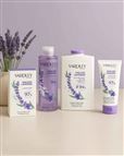 Yardley London Toiletry Collection - English Lavender