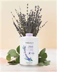 Yardley London Toiletry Collection