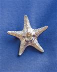 Starfish Pewter Brooch