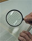 Handheld Magnifier