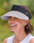 Sun Visor