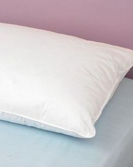 Goose Feather and Down Pillows