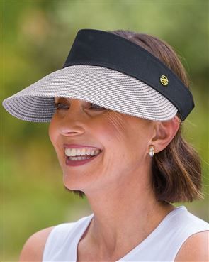 Sun Visor