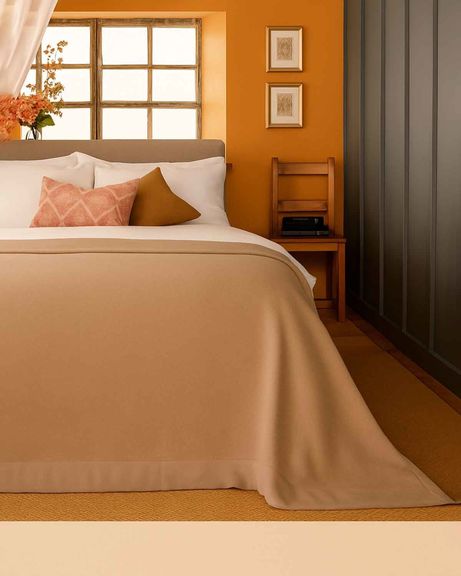 Pure Wool Satin Bound Blankets - Champagne