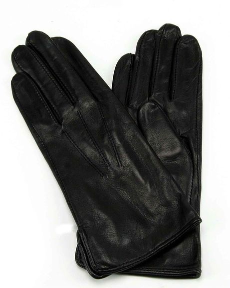 Leather and Silk Gloves