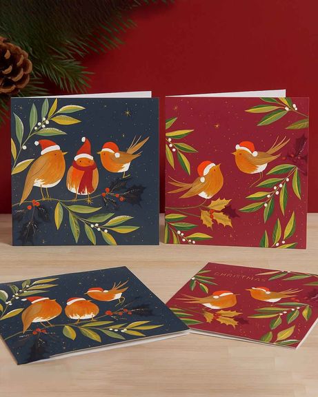 Traditional Christmas Card Collection – 10 Pack - Robins