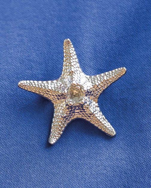 Starfish Pewter Brooch