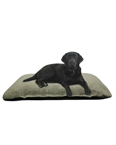 flat dog bed